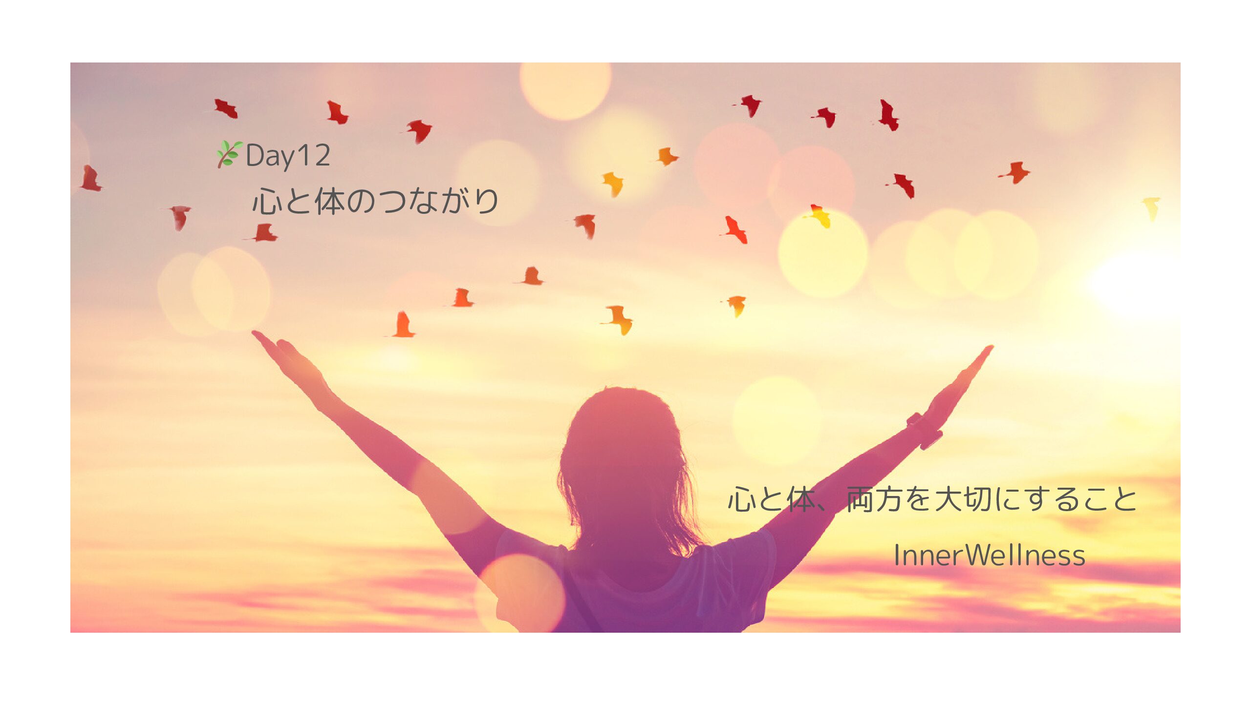 🌿Day12｜心と体のつながり