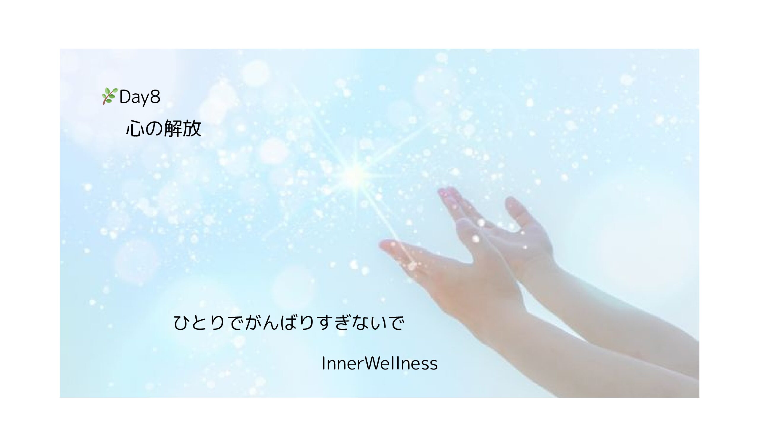 🌿Day8｜心の解放